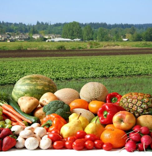 fruits and vegs