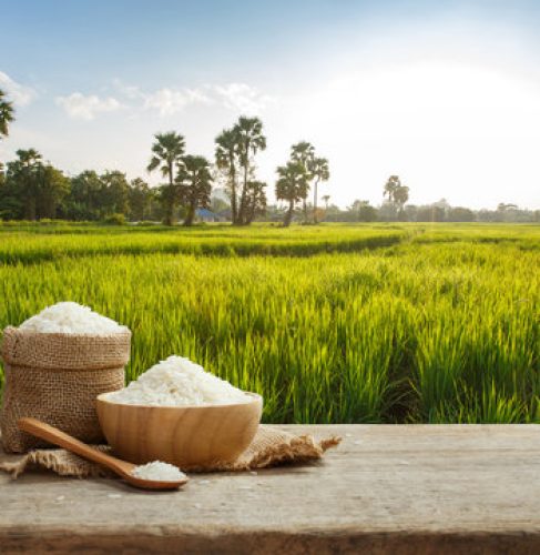 rice